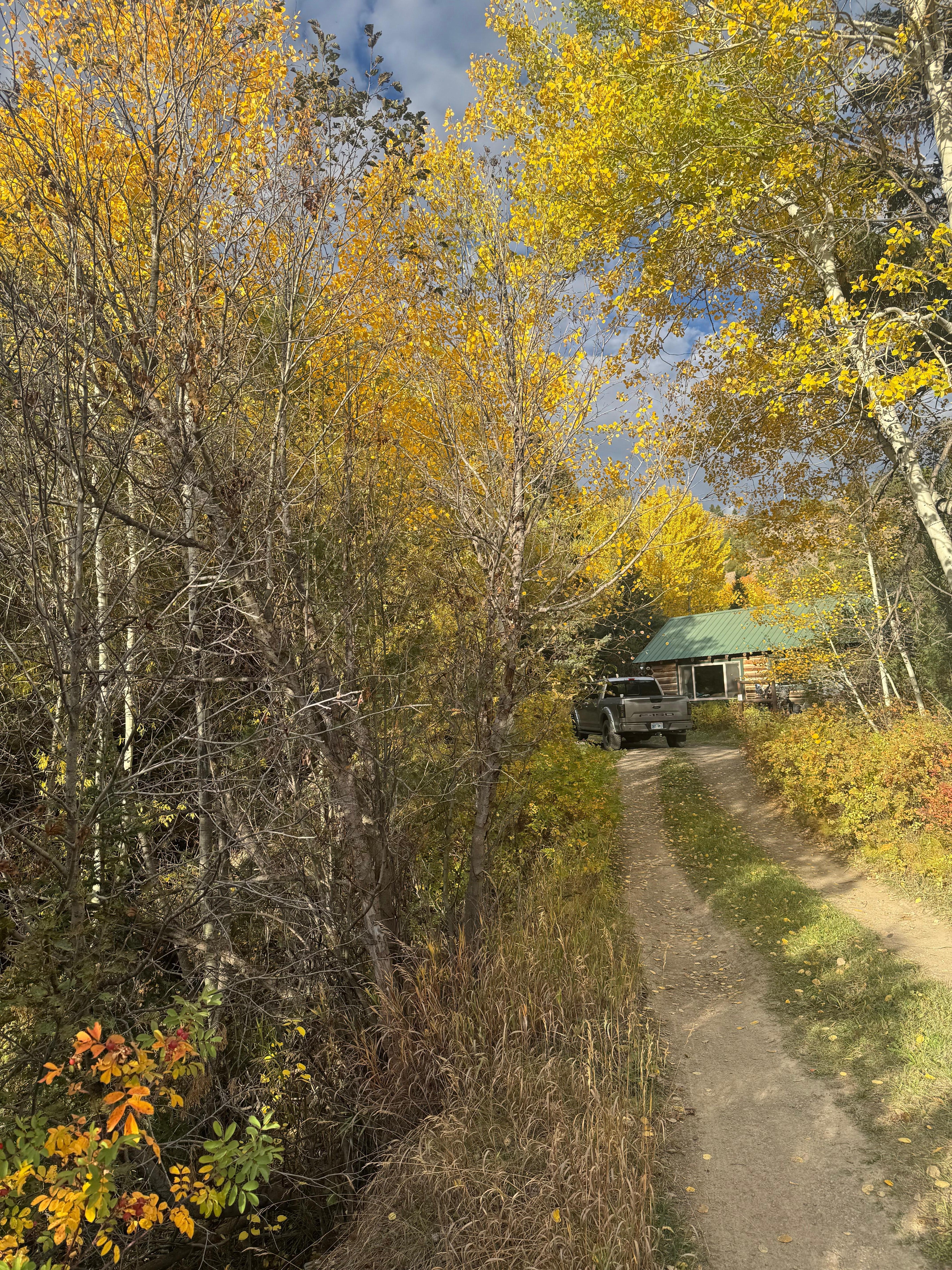 The driveway going in