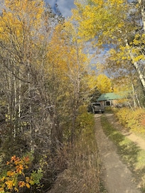 The driveway going in