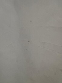 Shower curtain