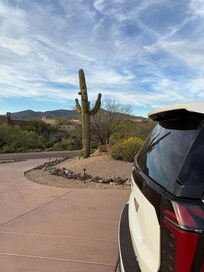 Looking out driveway