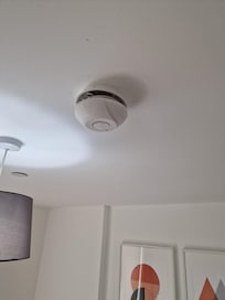 Detector bedroom, fitted at an angle and all wires showing