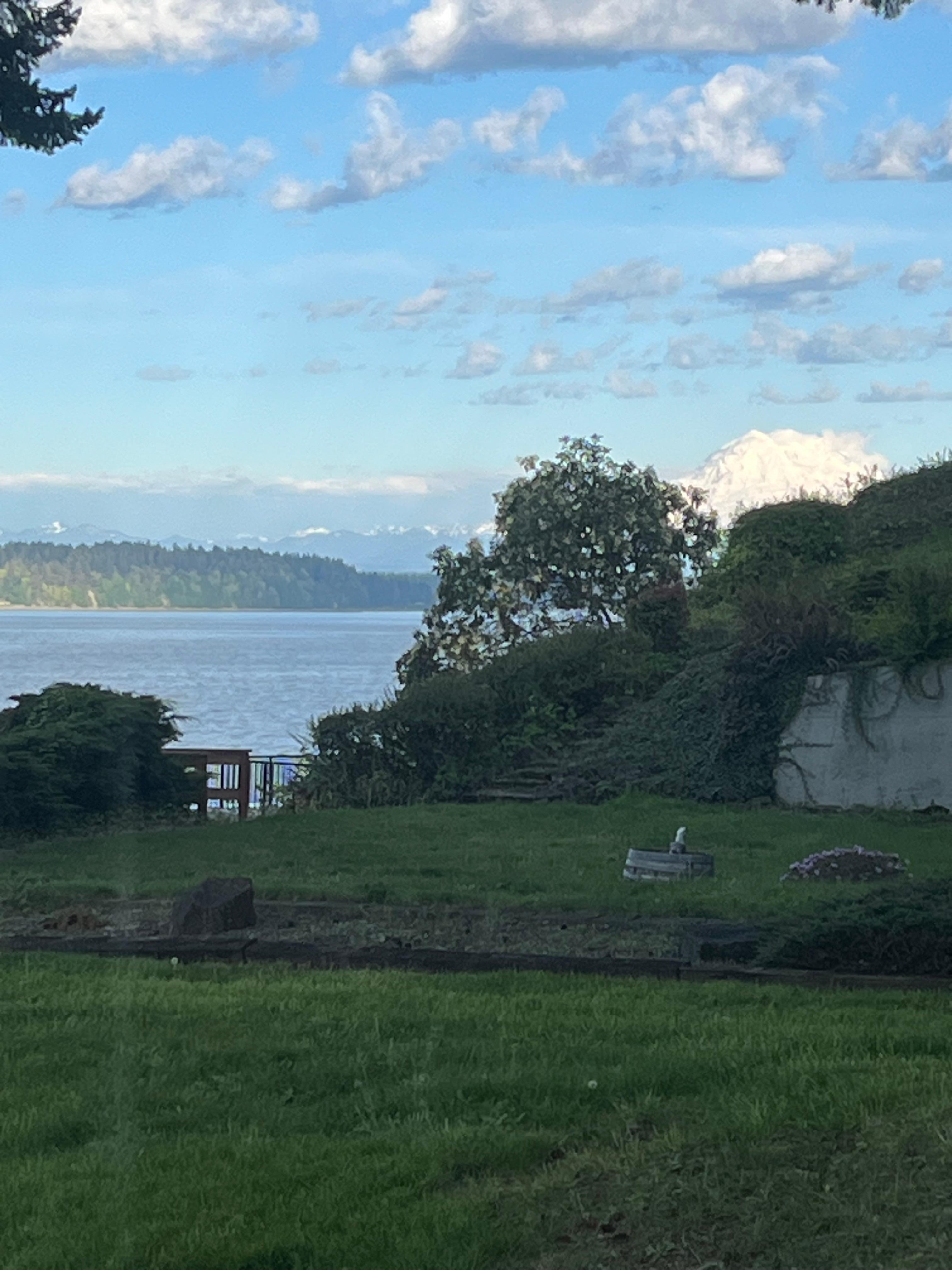 Mt Rainier from the dining room 