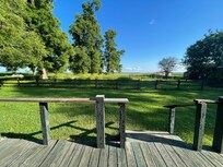 View from cottage out back, so peaceful