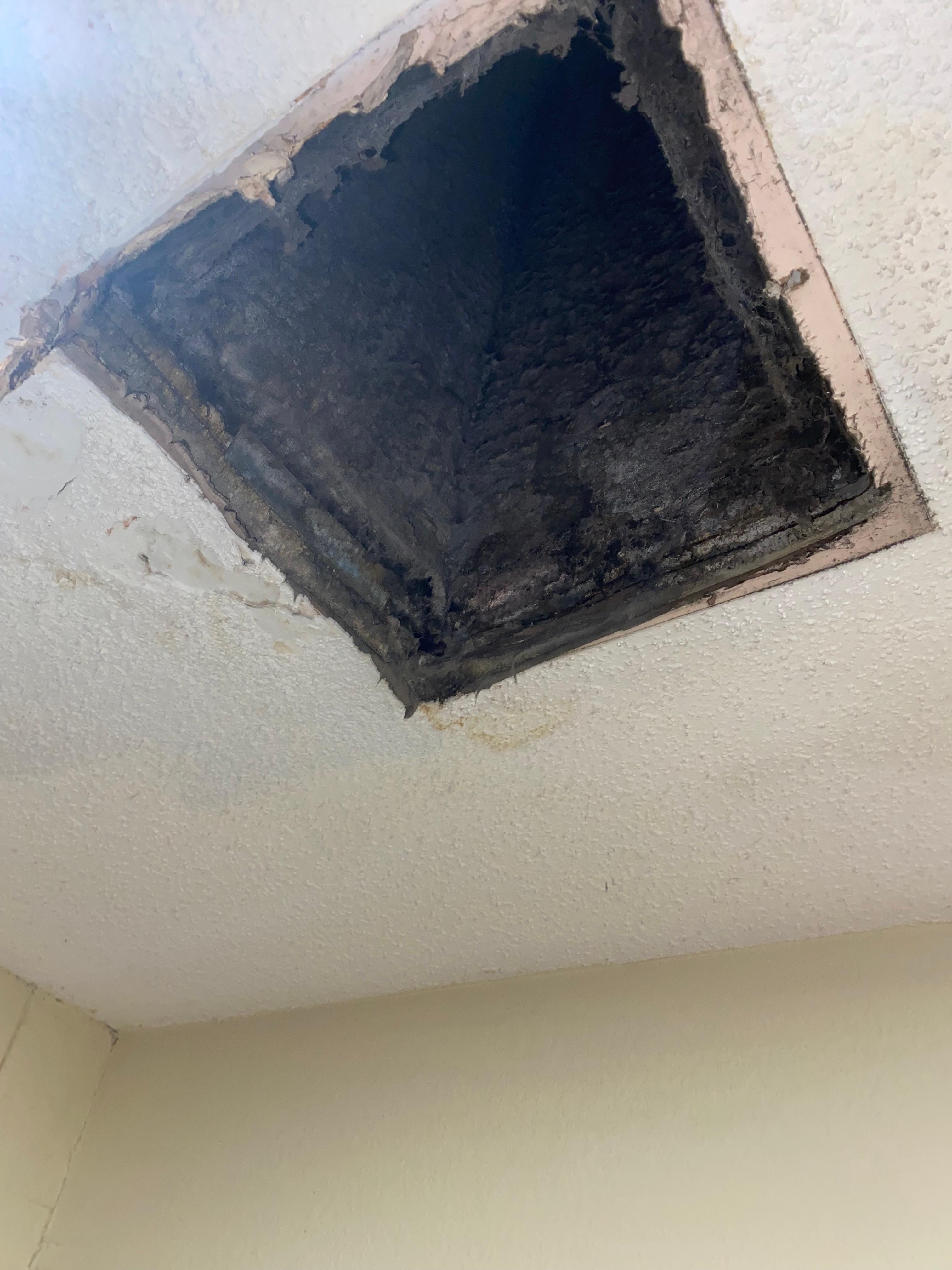 Filth!! Vent laid against the wall all 4 days I was there. Seeing the filth in the air duct was gross!