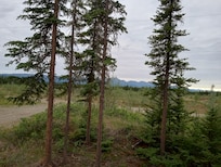 My view with breakfast from the deck