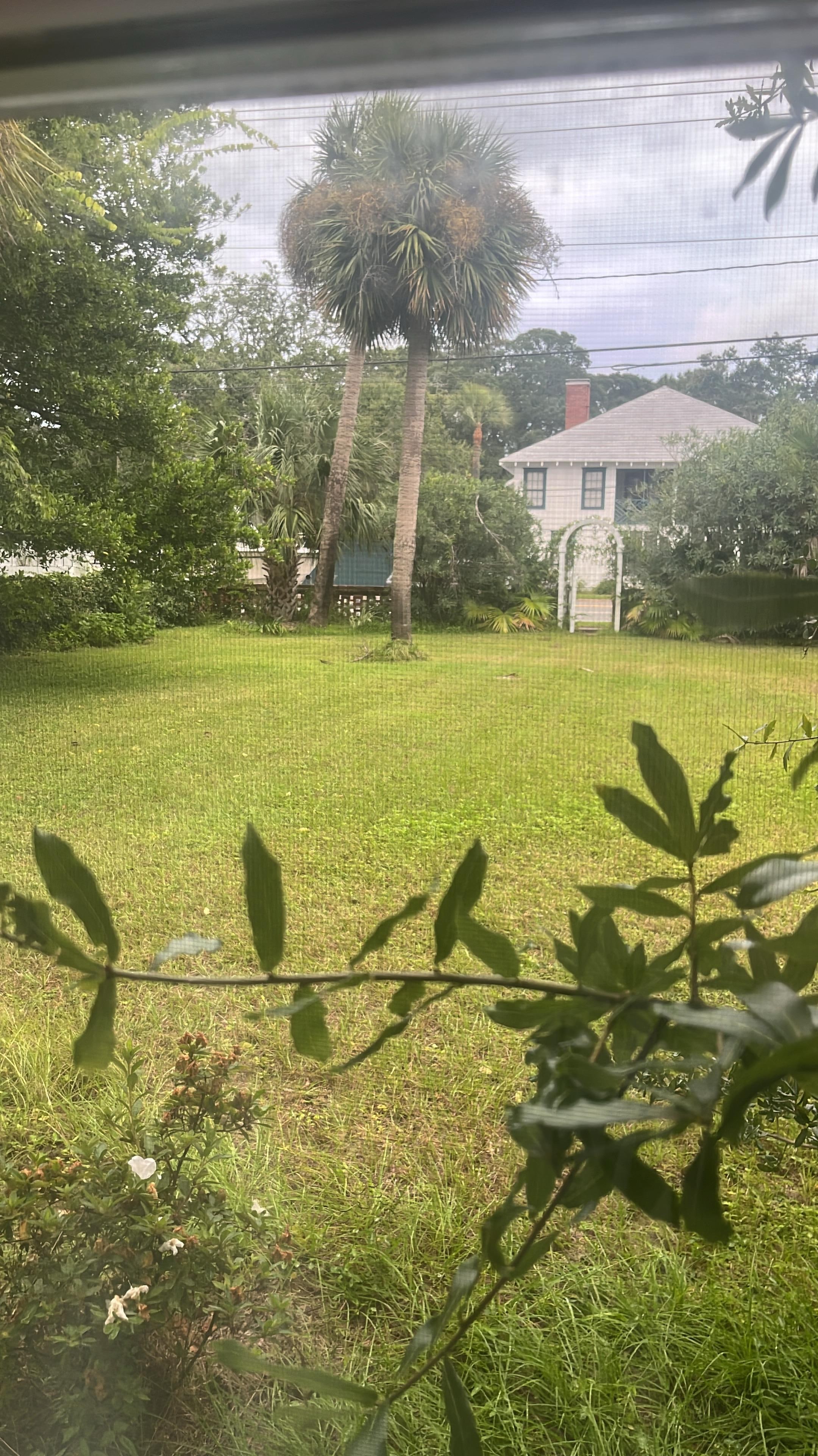 View from the living room window 