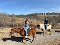 Horse trail riding