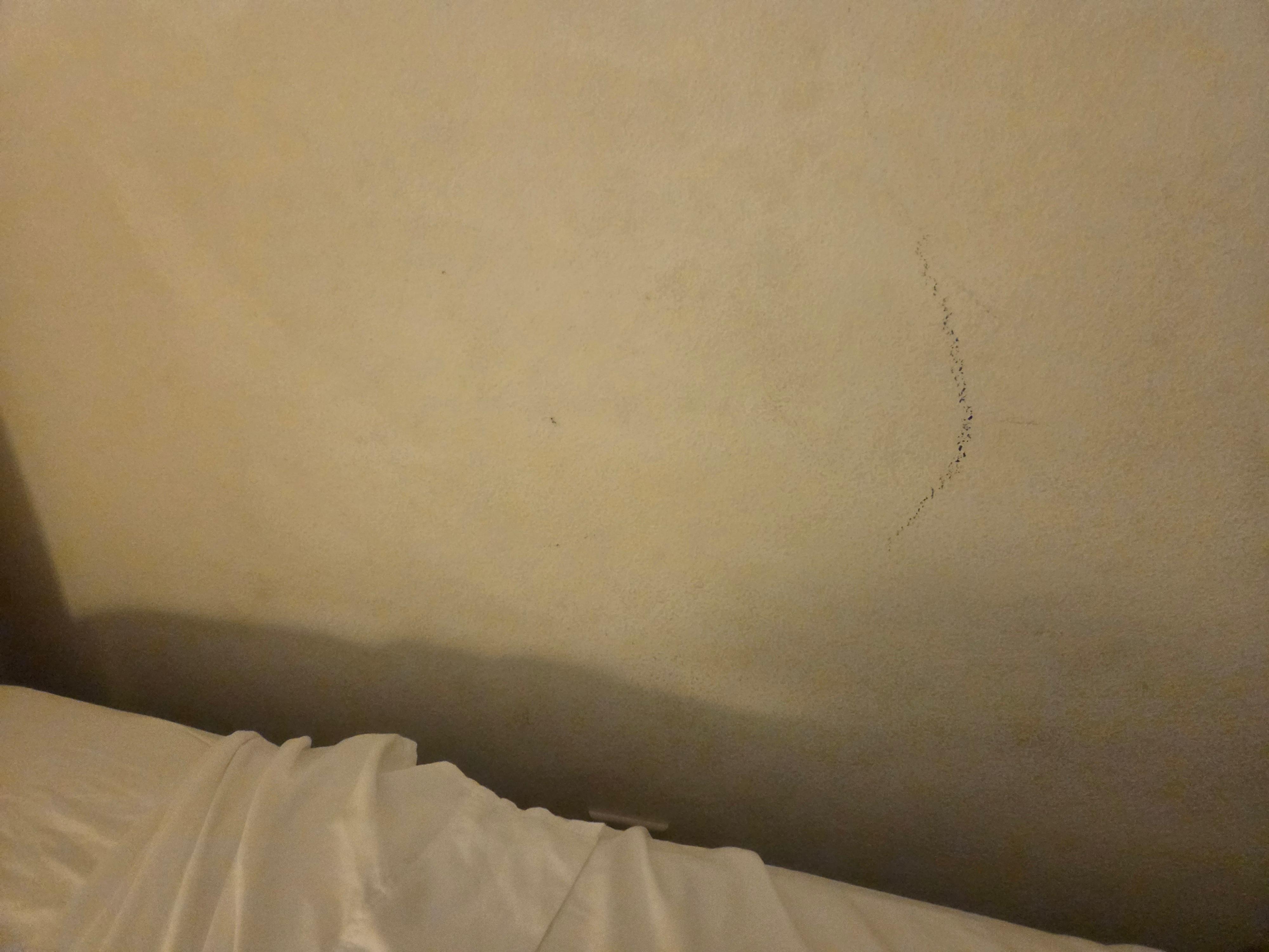Walls all have marks chips and small holes
