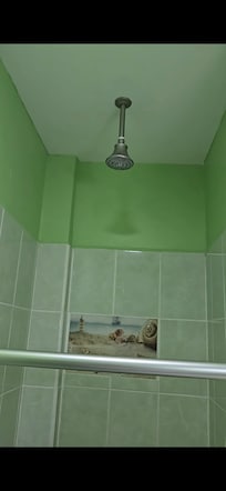 The shower in the ceiling with no way to adjust it
