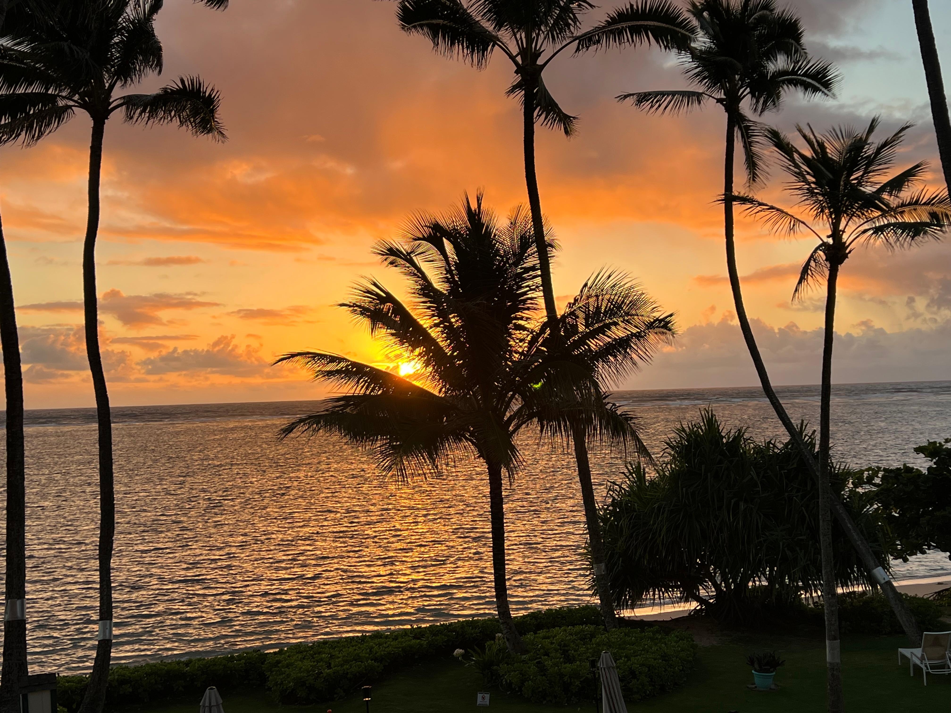 Sunrise
