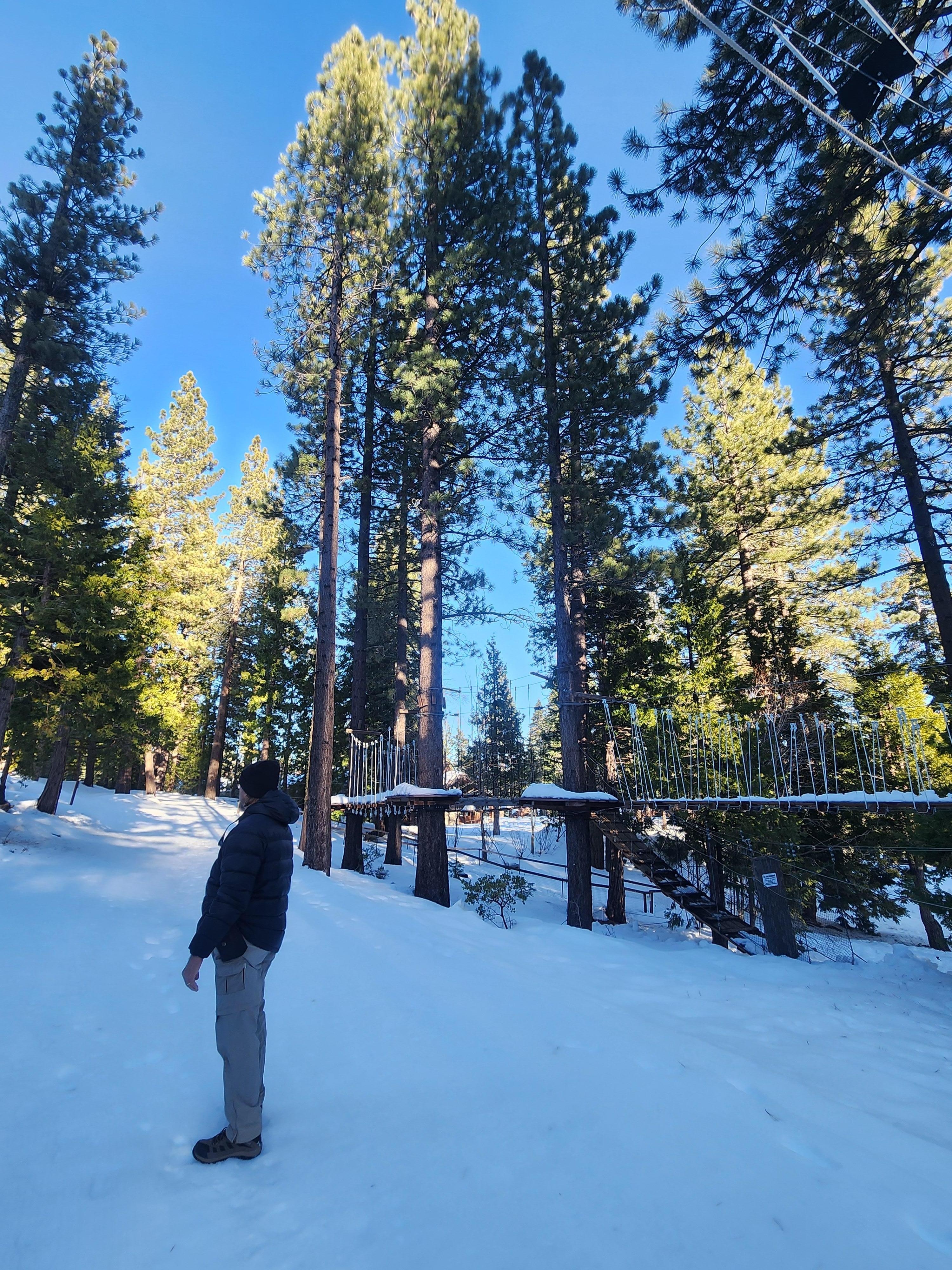 Checking out the treetop course (for future summer trip)