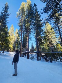 Checking out the treetop course (for future summer trip)
