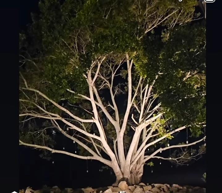 “Me gustó mucho el ambiente afuera, especialmente en la noche, se siente tranquilo y bonito.”