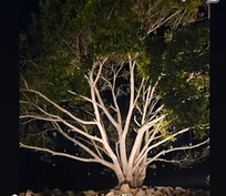 âMe gustĂł mucho el ambiente afuera, especialmente en la noche, se siente tranquilo y bonito.â