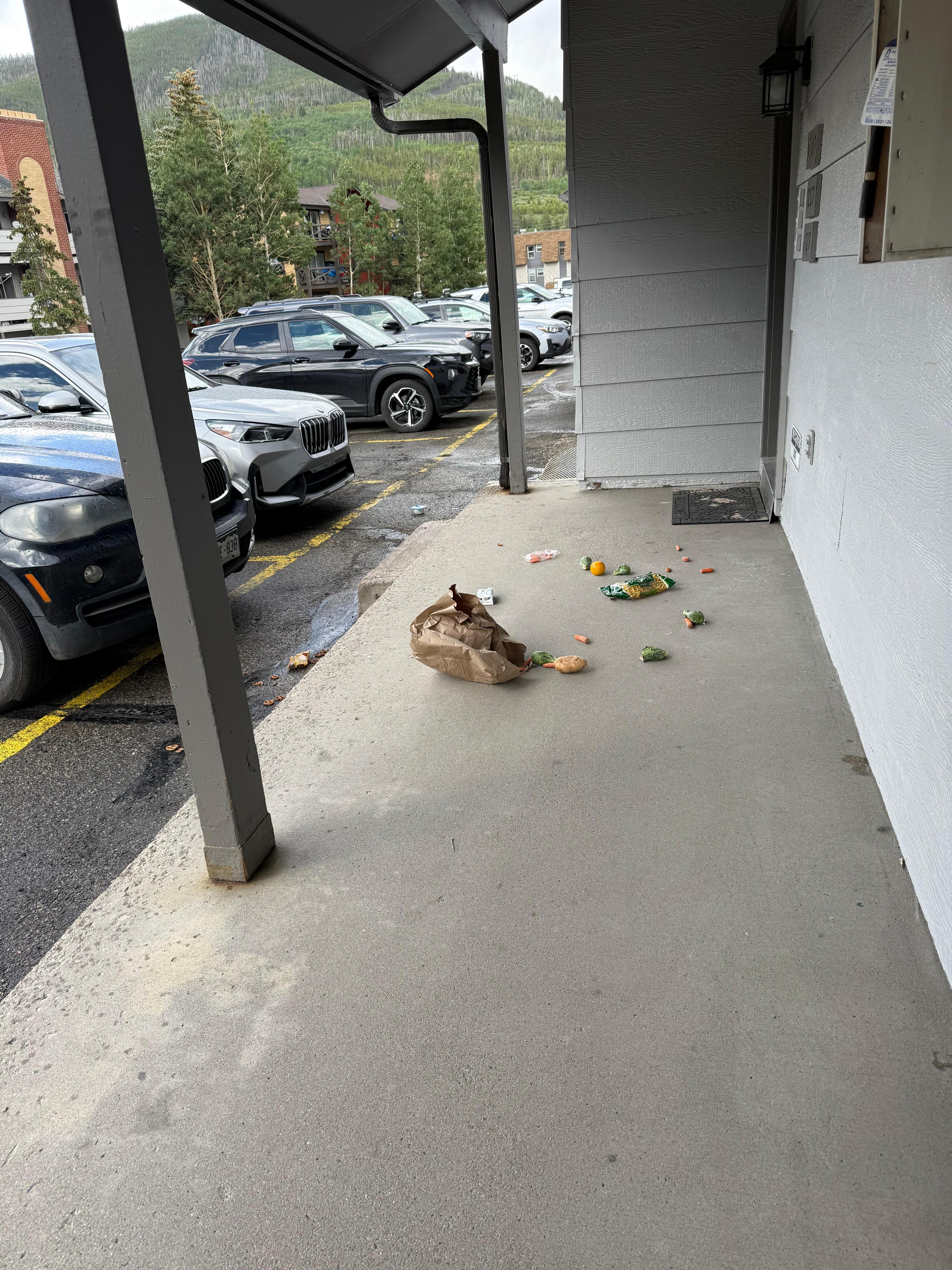 Groceries on the porch