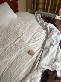 dirty napkin in clean bedsheets