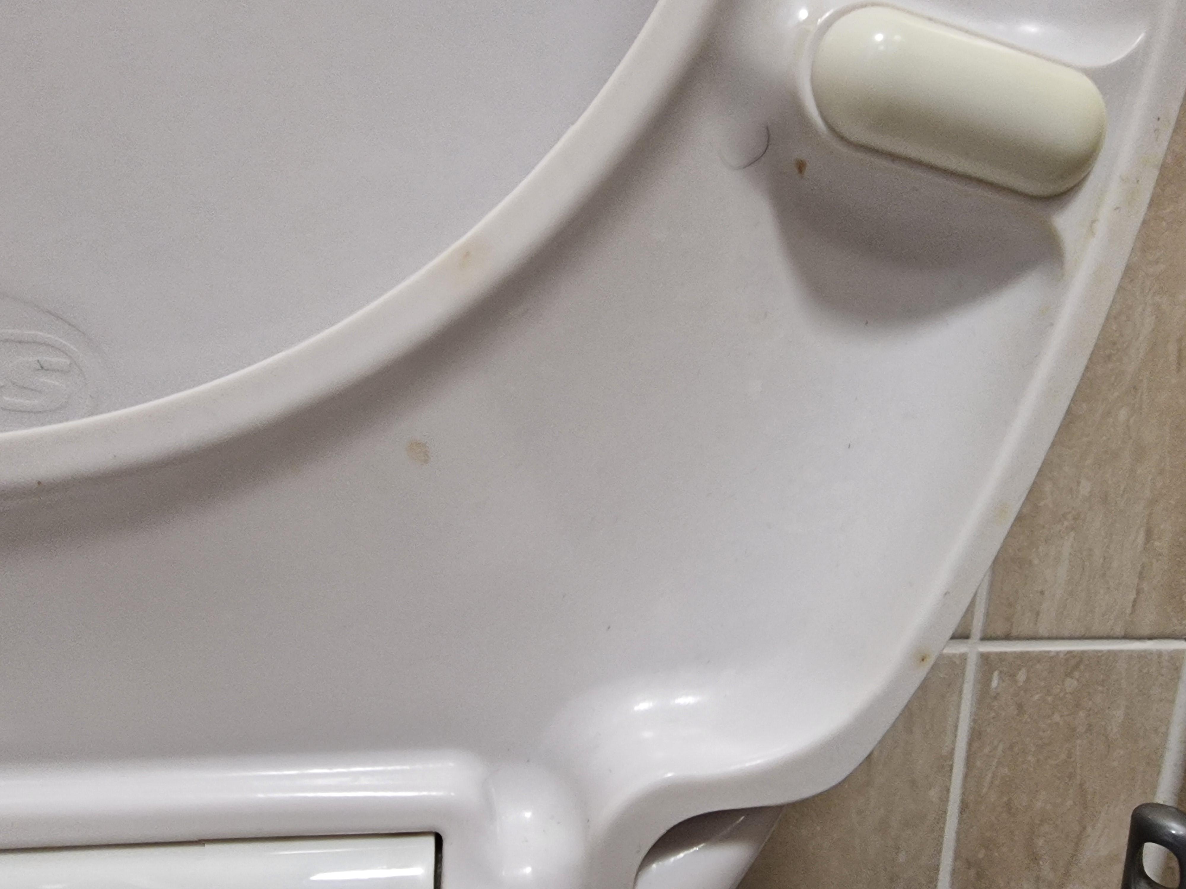 Poo on toilet seat