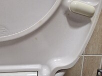 Poo on toilet seat
