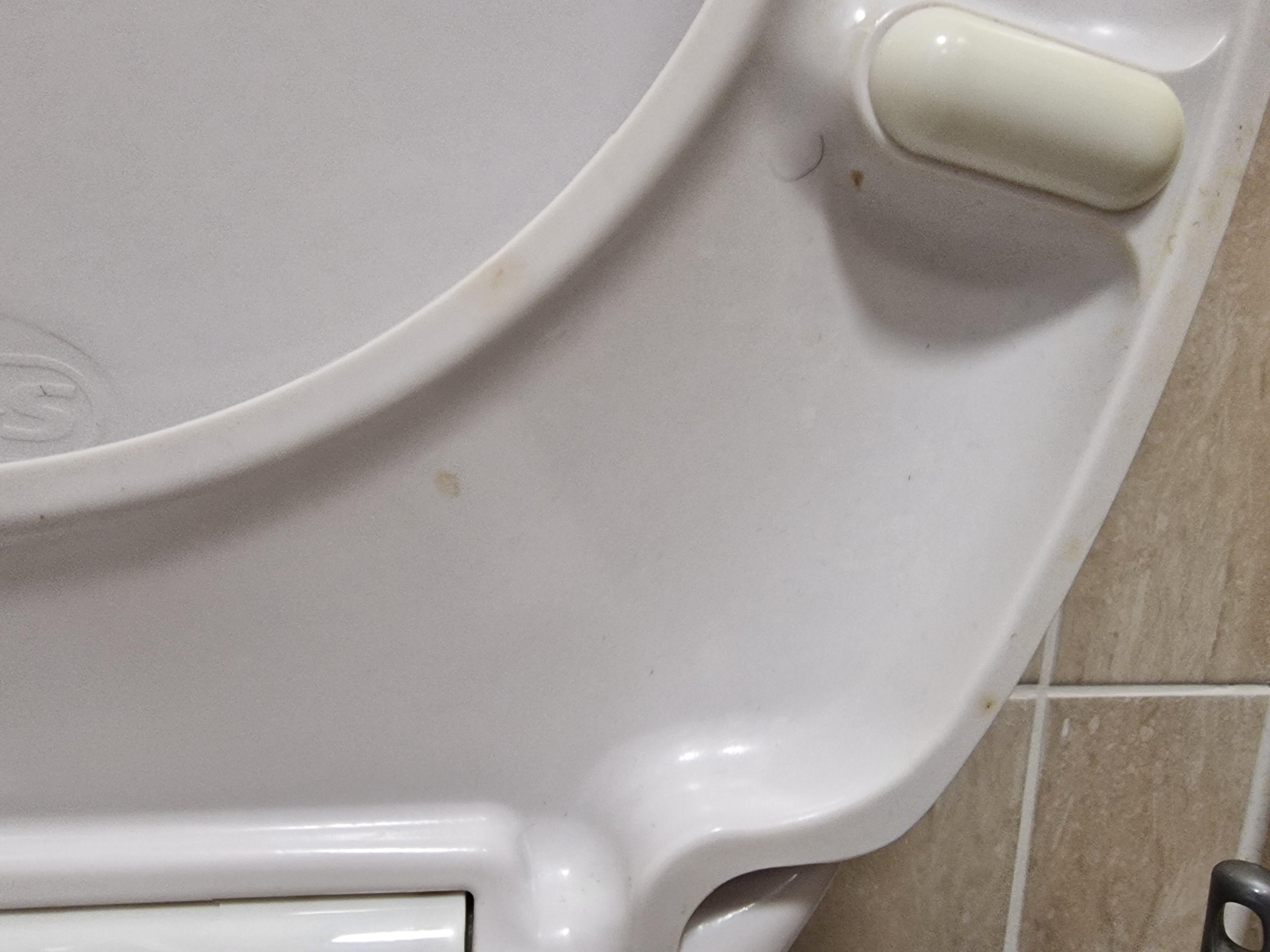 Poo on toilet seat