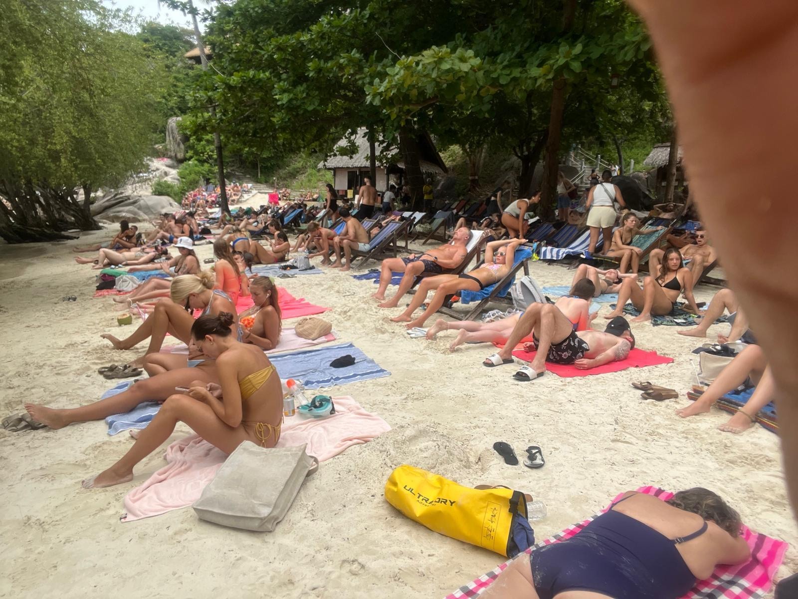 Les transat sont prit d'assaut 