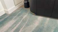 Stains on carpet