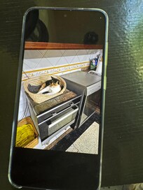 Cat on top of the oven. Photo from other guest’s phone.