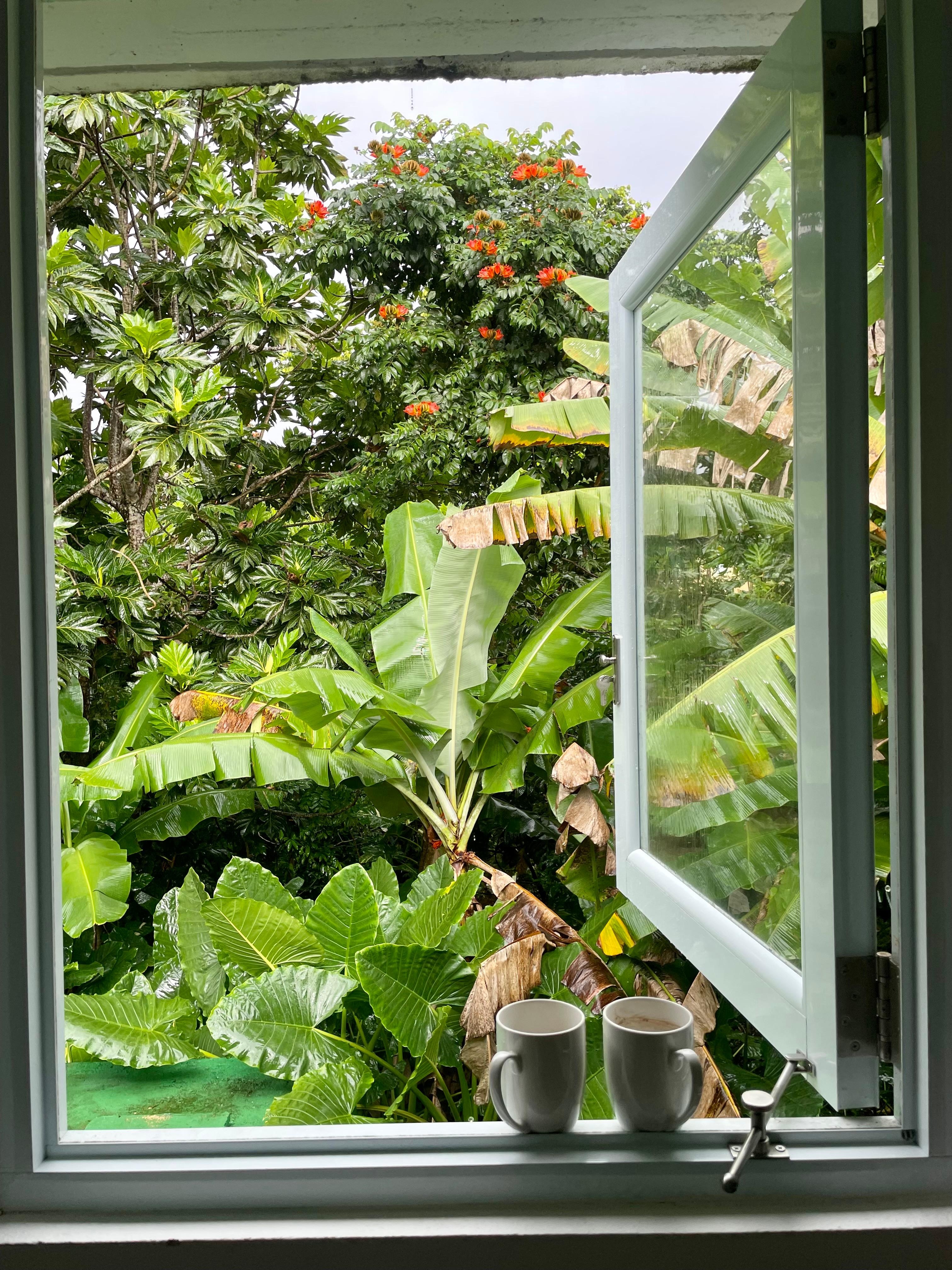 Morning coffee in the kitchen 