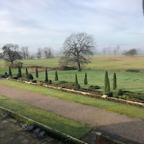 Early (7.30am) morning view from room
