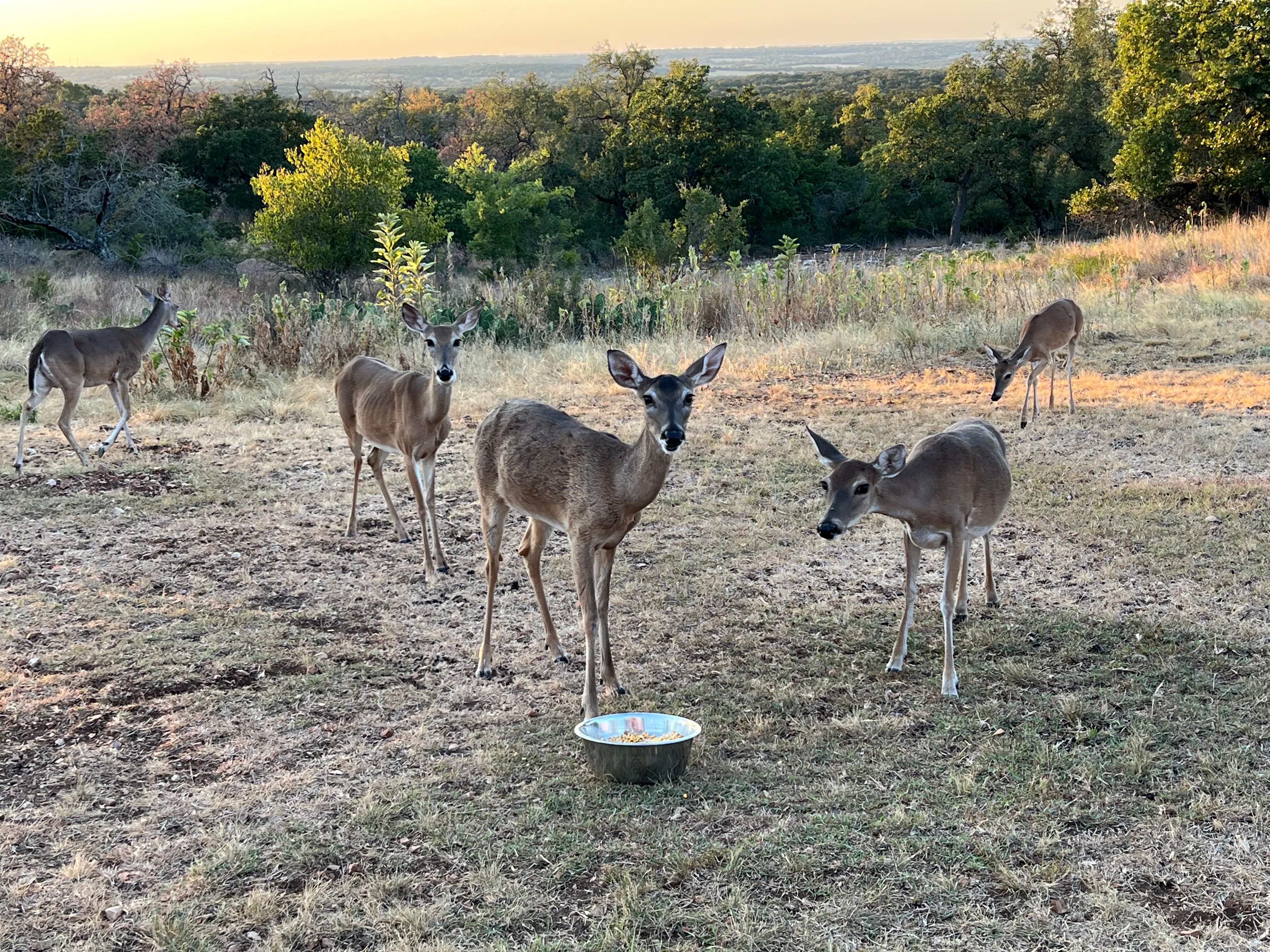 We made a lot of friends with the locals. 