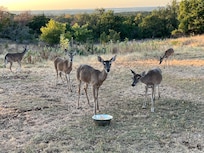 We made a lot of friends with the locals.