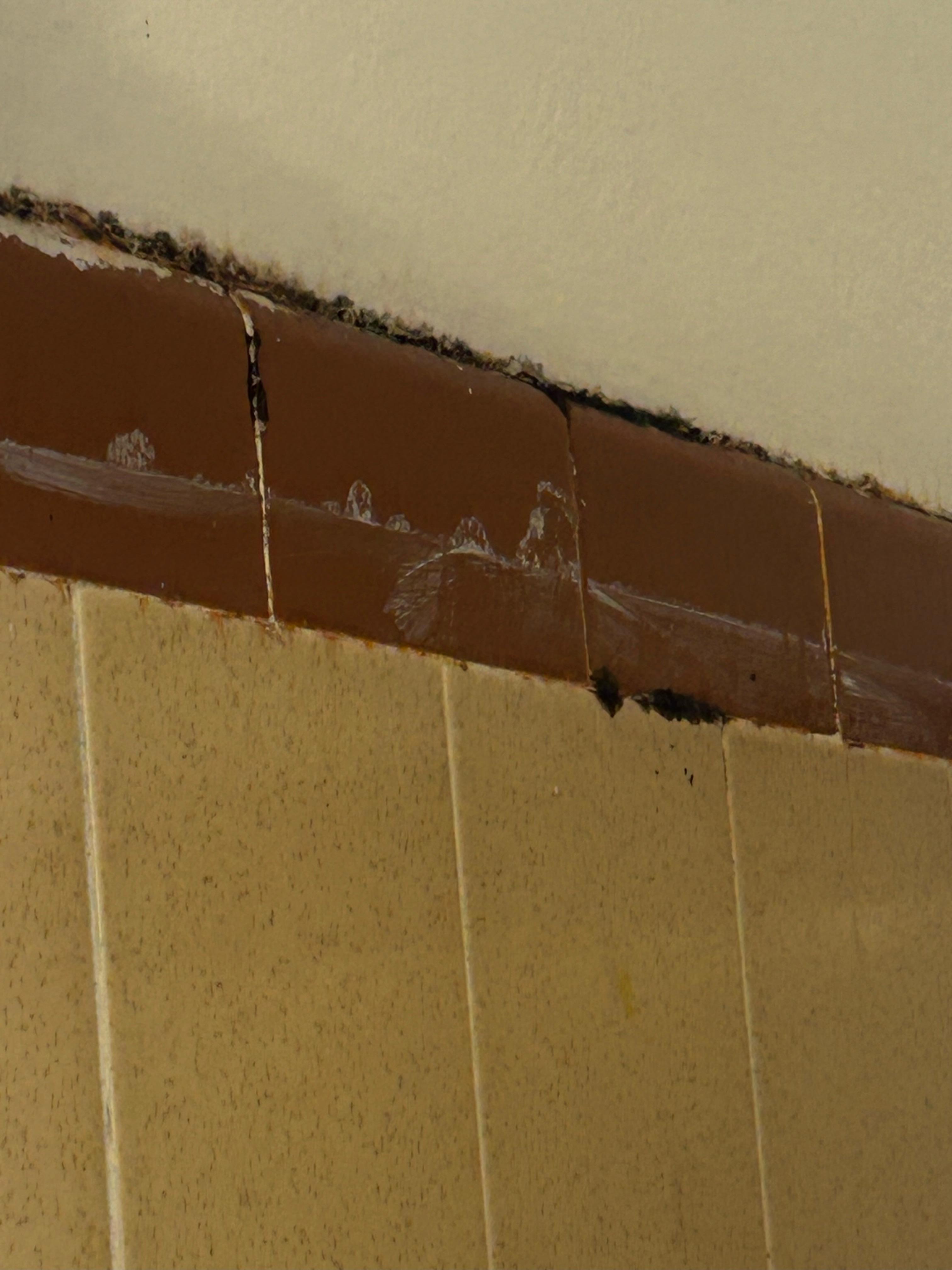 More black mold in shower