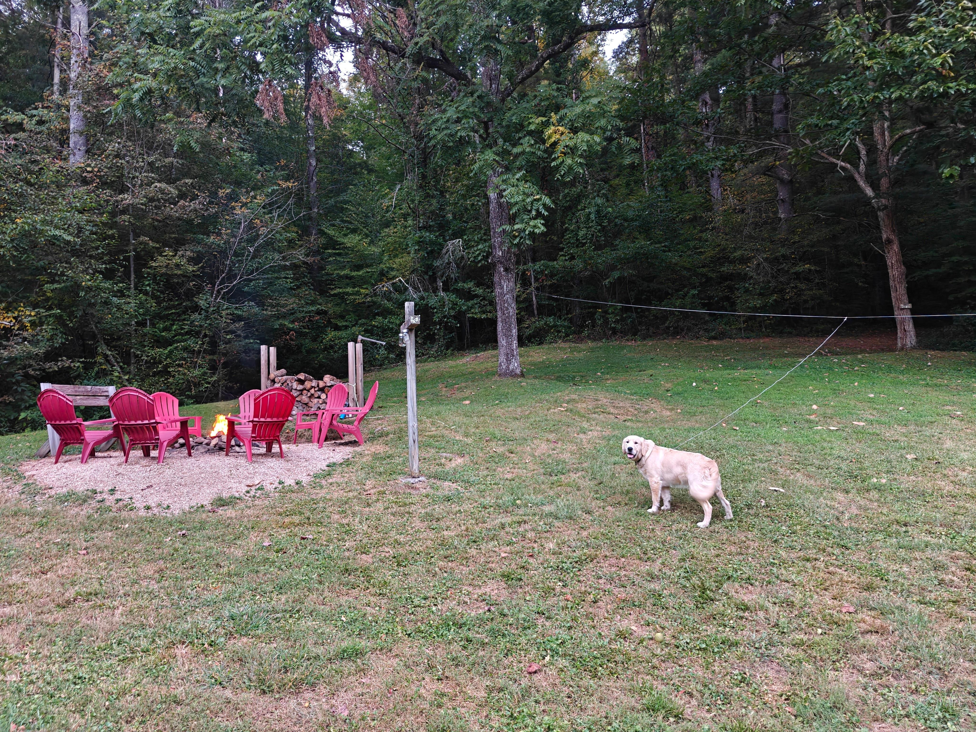beautiful fire pit area with the dog run close by.