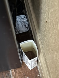 Rat and roach glue traps in our room