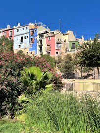 Houses built onto old castle wall
