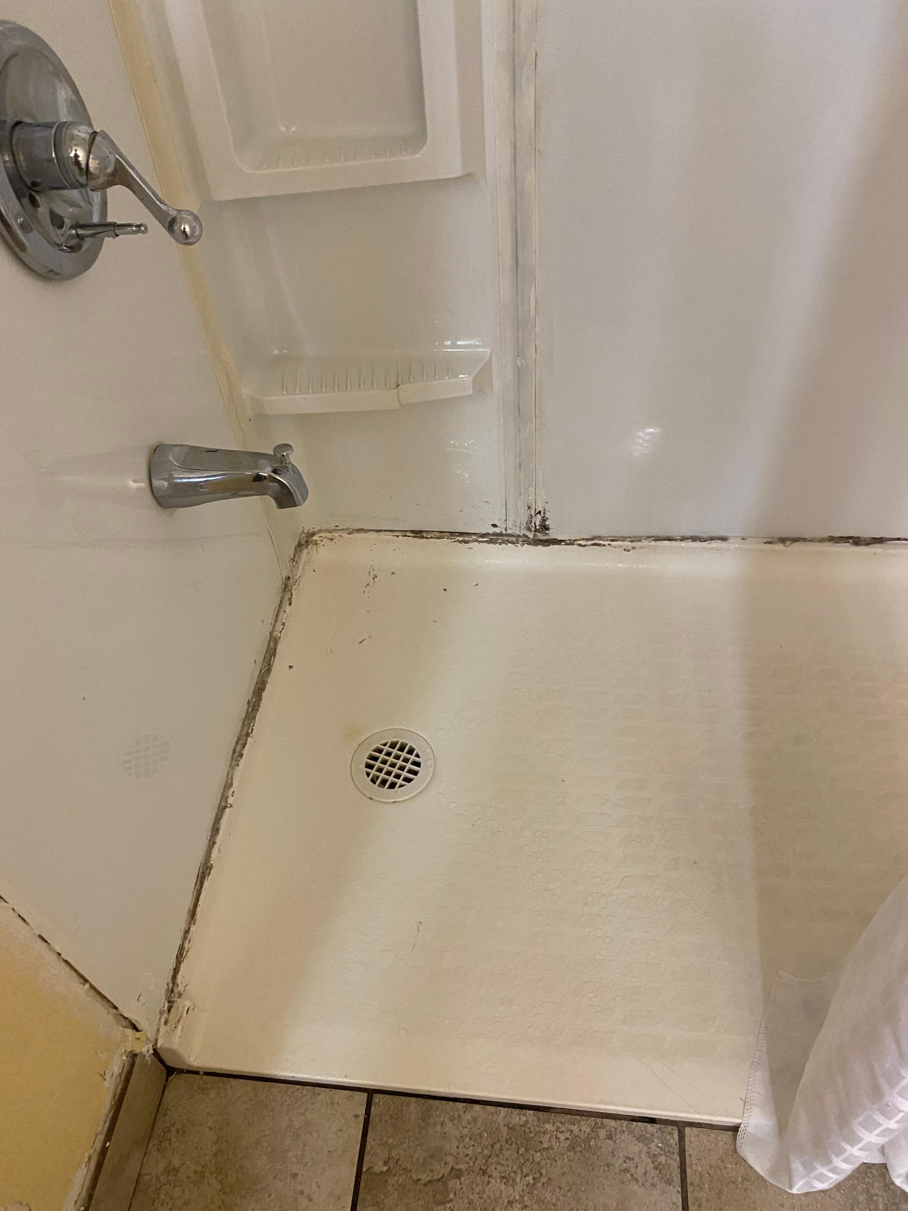 Shower too disgusting to use.  Mold/mildew surrounding the shower floor