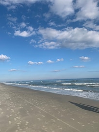 Beautiful walk on beach!