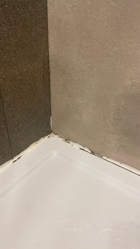 Moisissure dans la douche