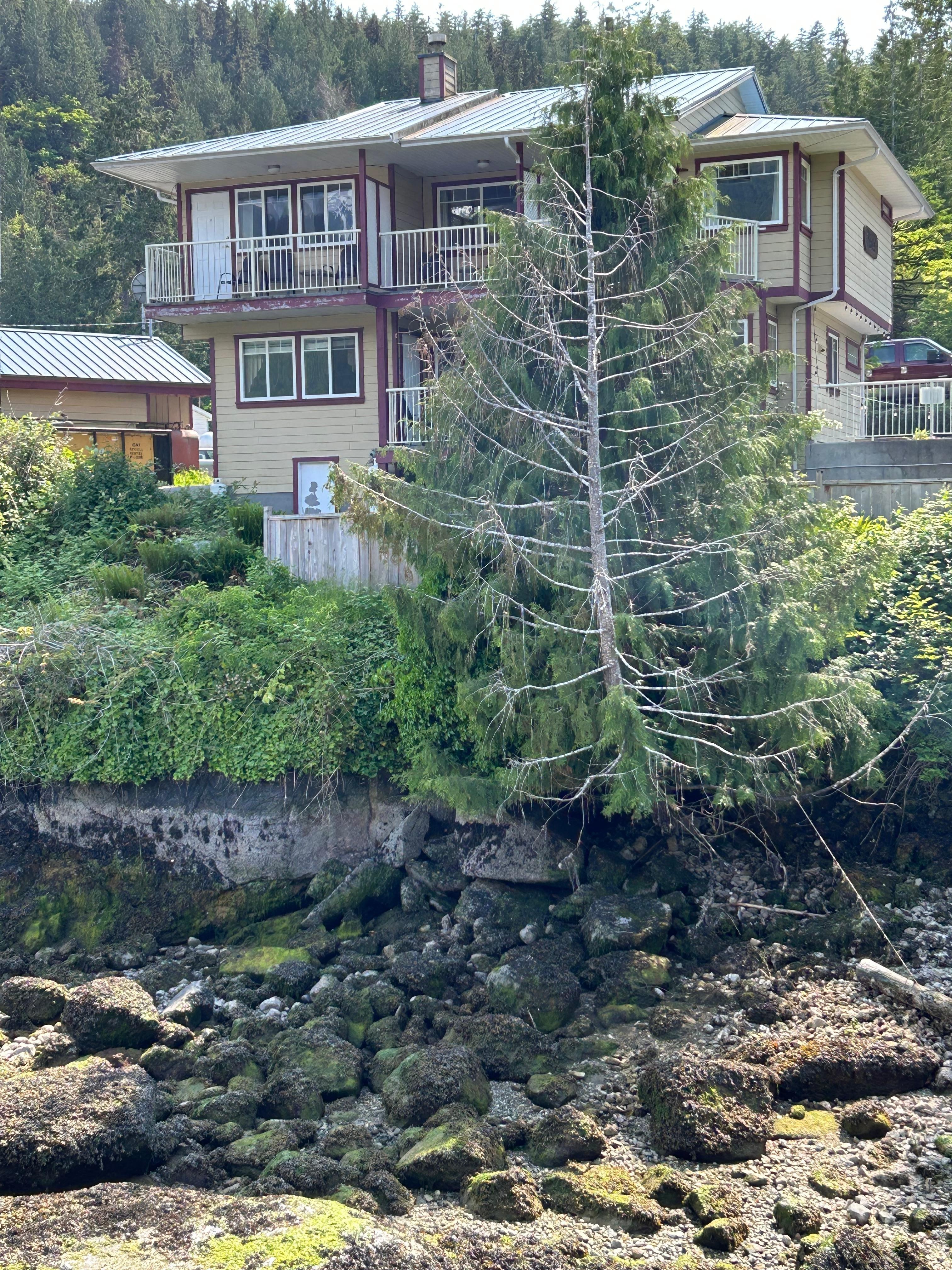 View of the hotel