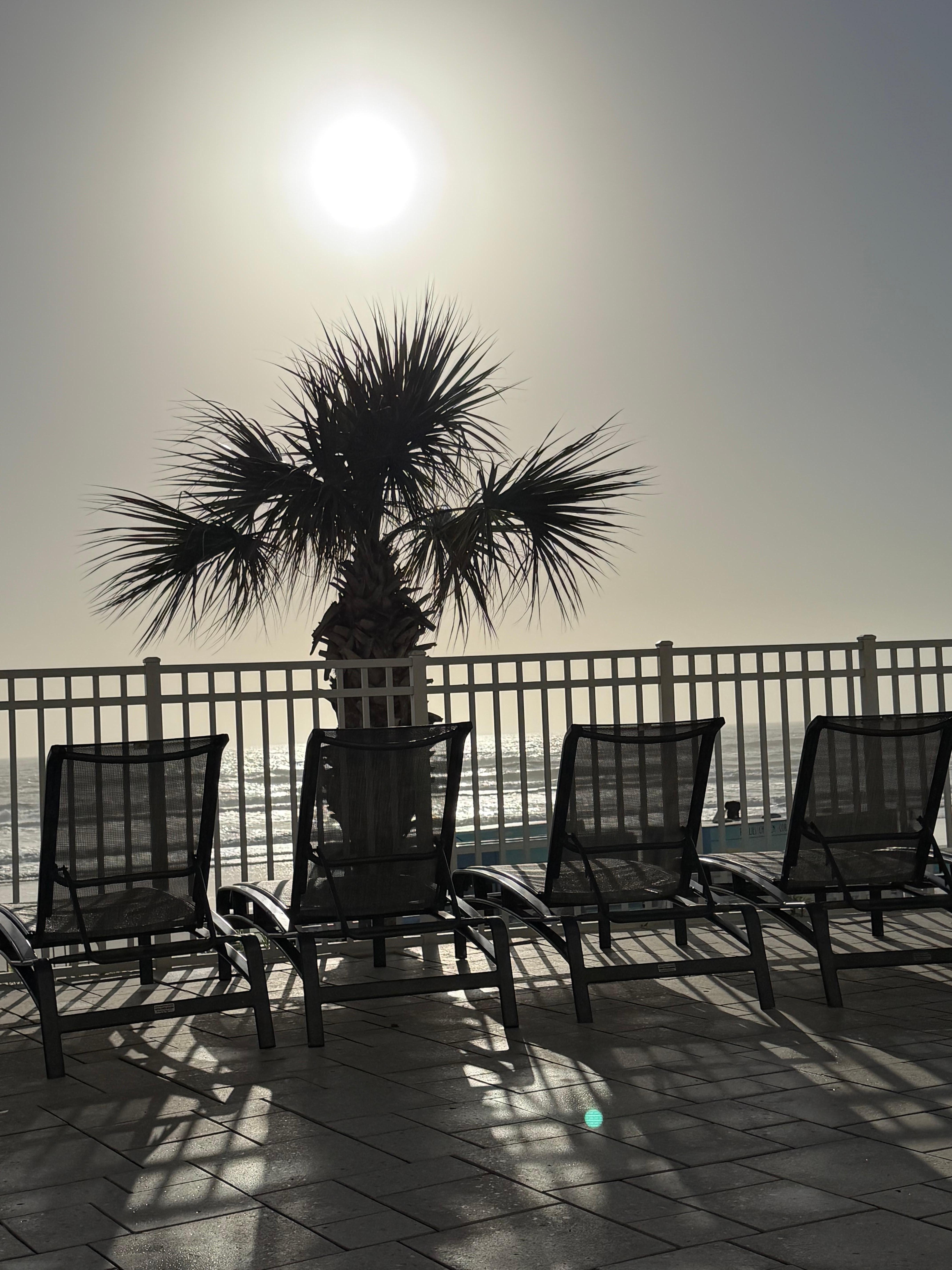 Beach day! Pool side lounge chair views