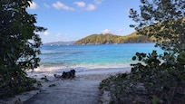 Hawksnest Beach St. John