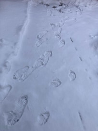 Evidence of frozen barefoot runs to and from the hot tub lol