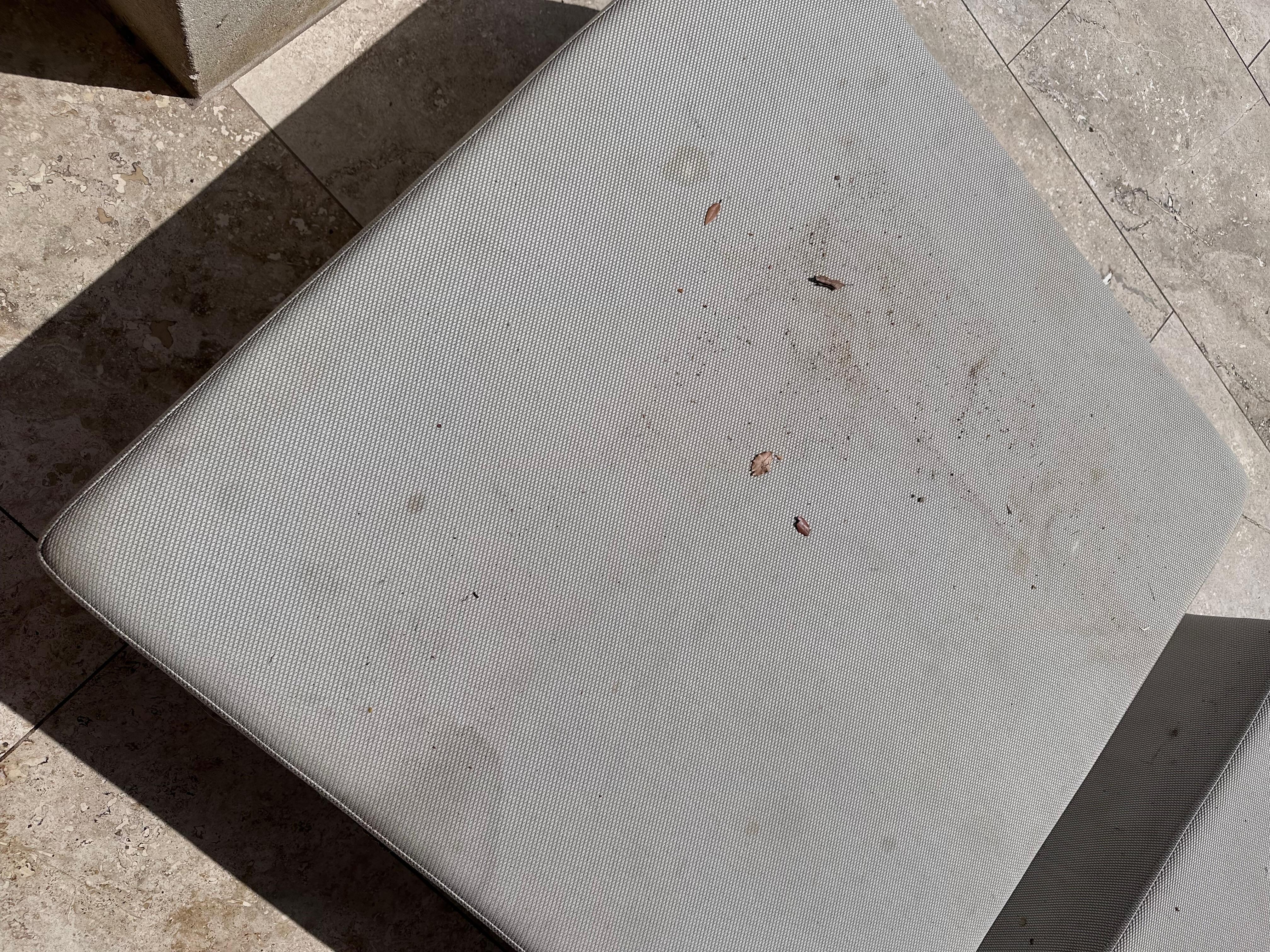 Filthy pool furniture