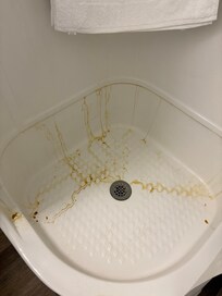 Shower at check in. Unknown substance on shower walls