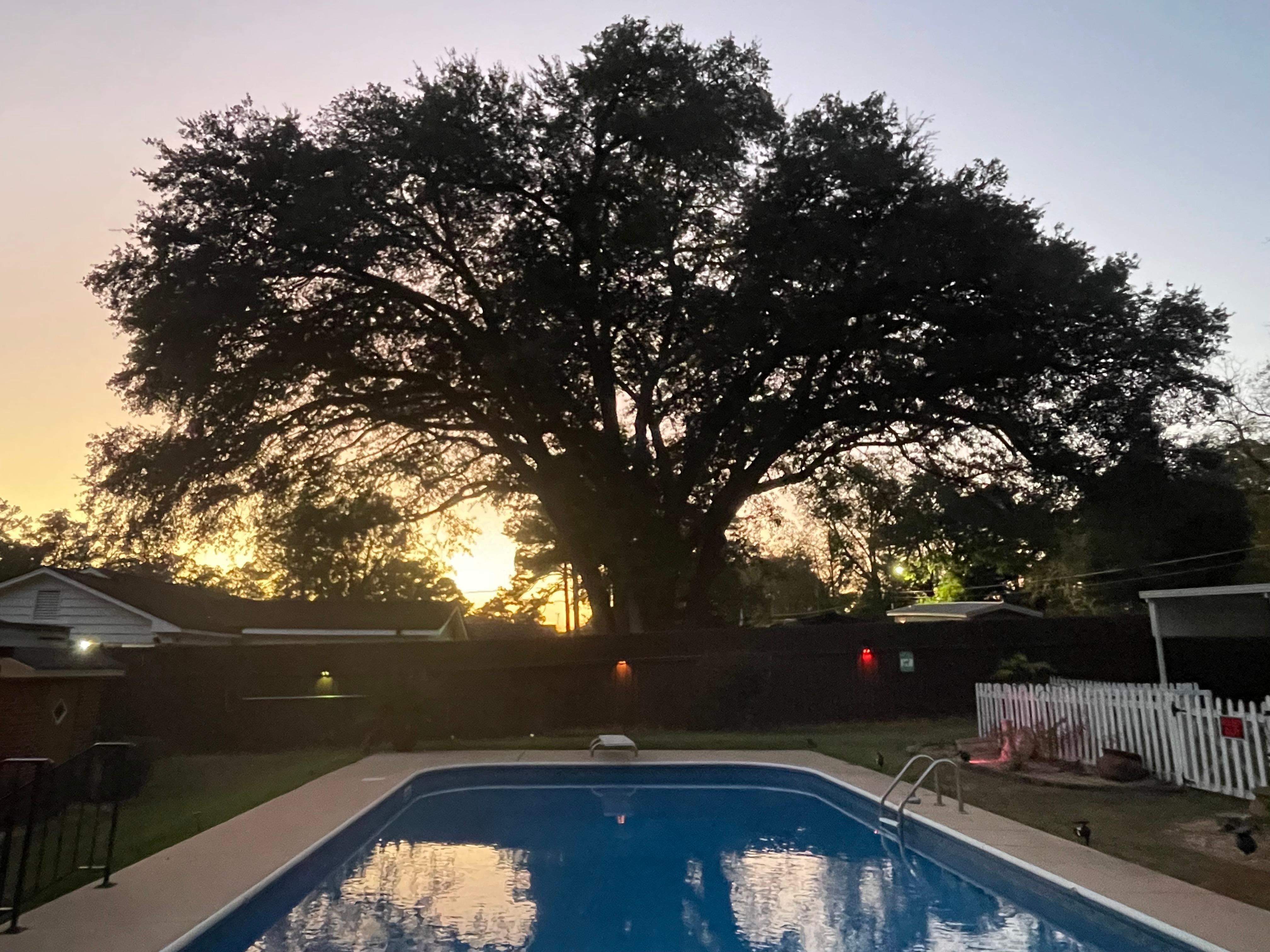 Pool at sunset