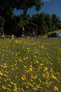 The cabin and adjacent meadow