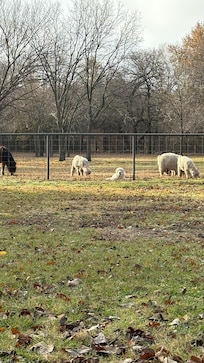 View from the back porch.