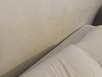 Mold at the head of the bed