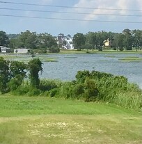 View from the deck
