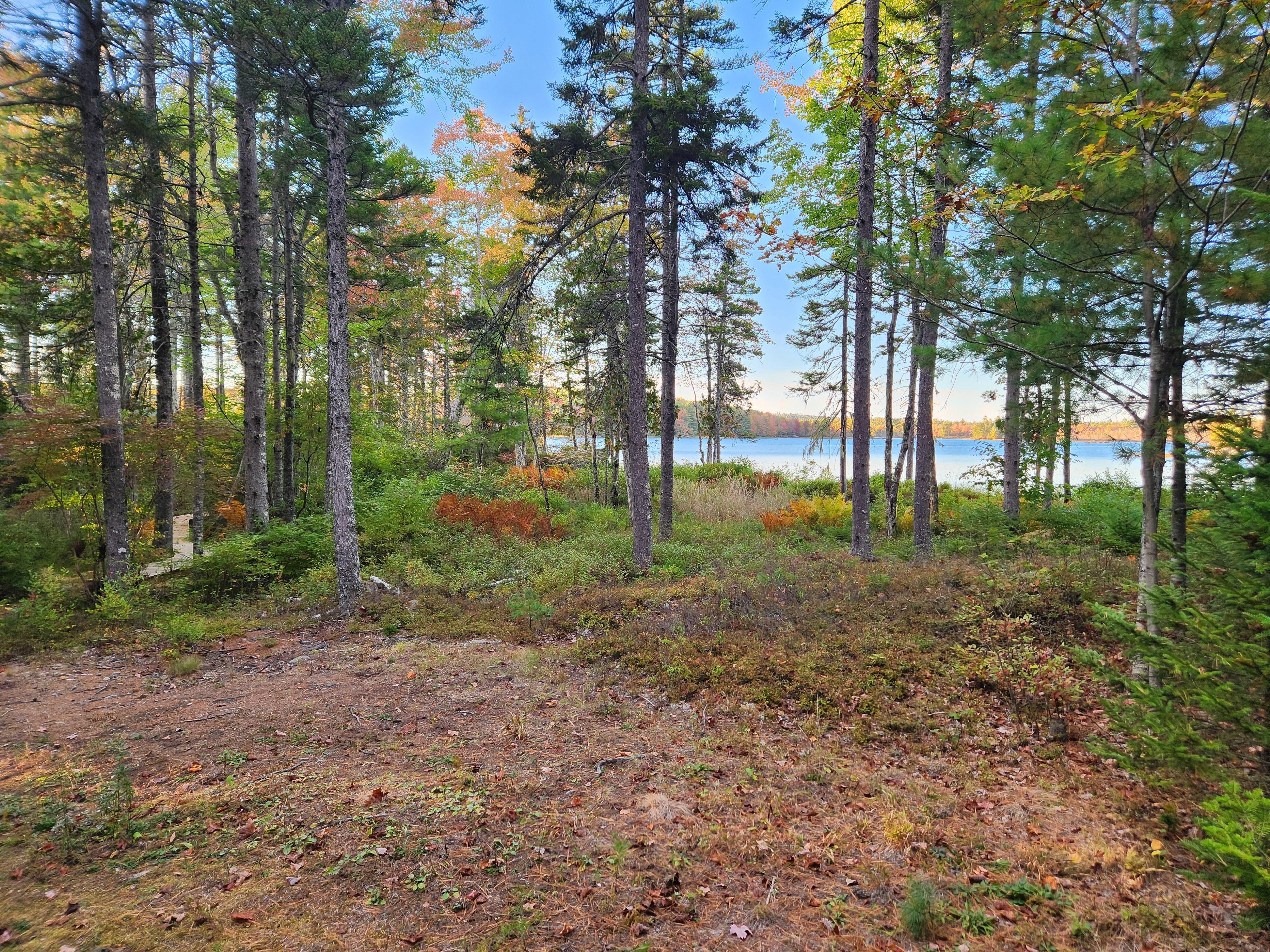 View from deck area.