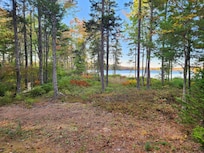 View from deck area.